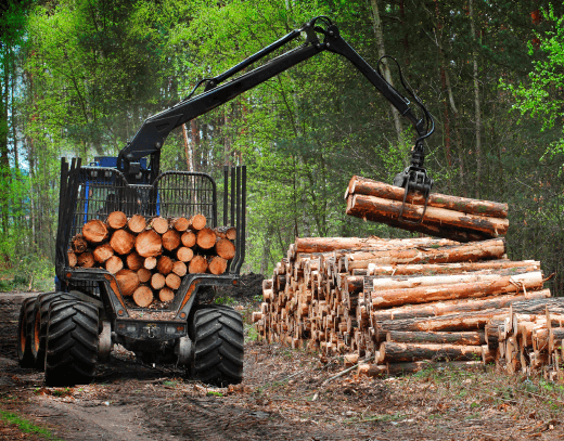 Tipos de financiamiento BICE empresas