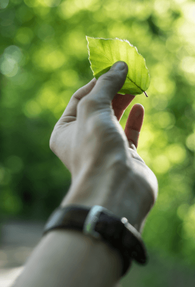 Explora nuestras acciones de sostenibilidad