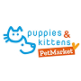 Puppies and kittens