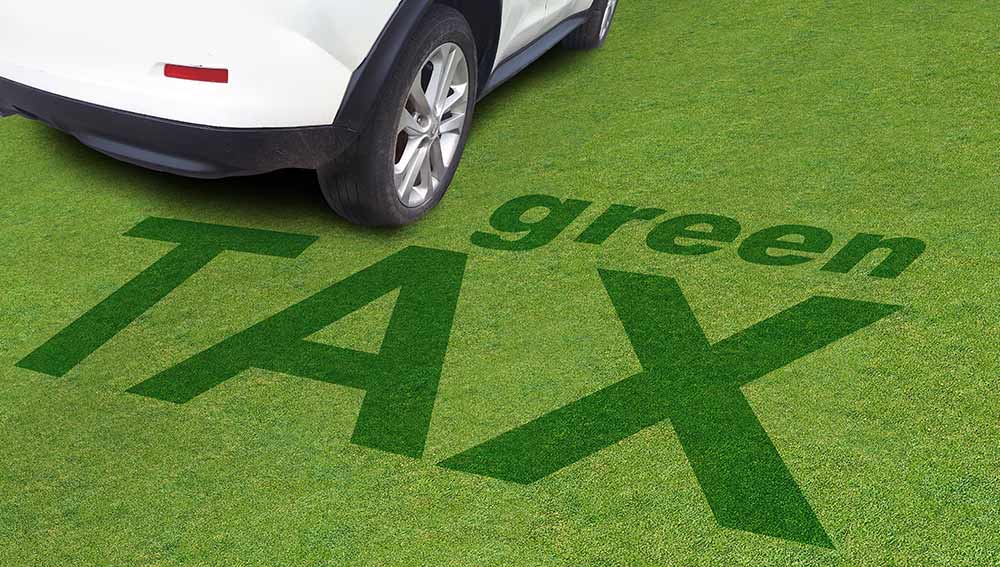 Césped cortado con la forma del texto green TAX